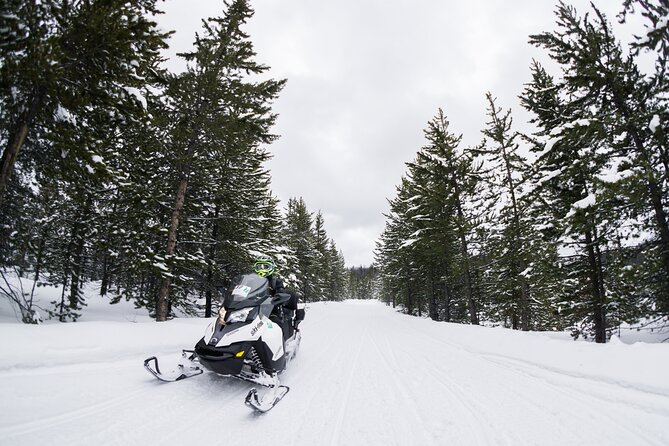 Jackson Hole Self Guided Snowmobile Rentals - Discover Jackson Hole Self-Guided Snowmobile Rentals for an Unmatched Winter Excursion
