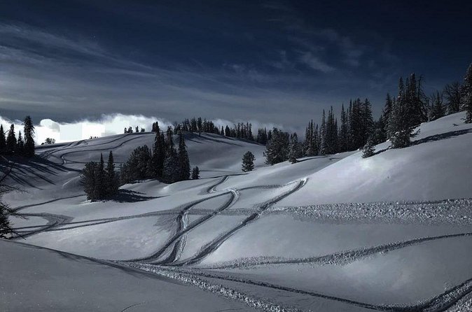 Jackson Hole Self Guided Snowmobile Rentals - Customer Satisfaction and Trail Experience