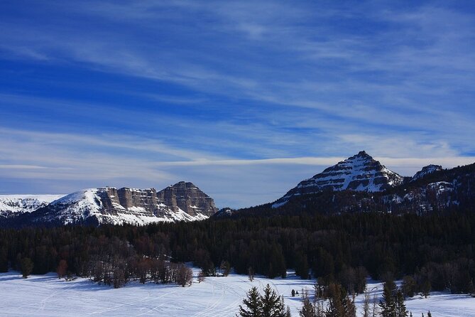 Jackson Hole Self Guided Snowmobile Rentals - Limitations and Important Details