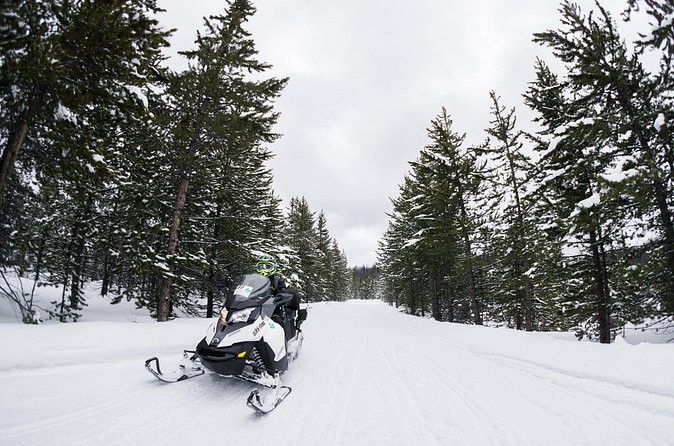 Jackson Hole Self Guided Snowmobile Rentals - Who Will Enjoy This Snowmobile Rental Experience?
