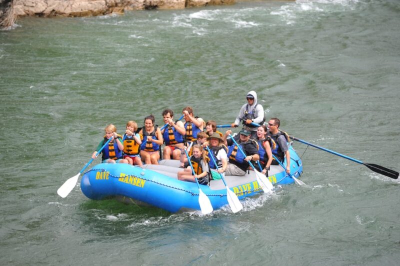 Jackson Hole: Snake River Whitewater Rafting - Physical Requirements and Safety Notes