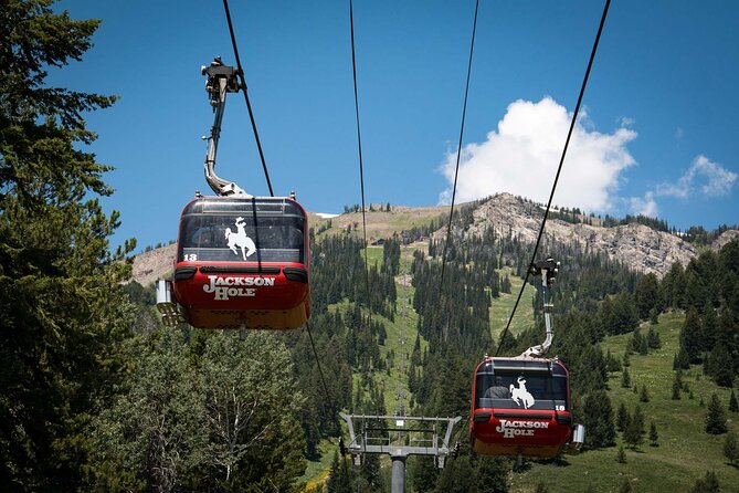 Jackson Hole Summer Aerial Tram Sightseeing - Exploring the Summit and Corbet’s Cabin
