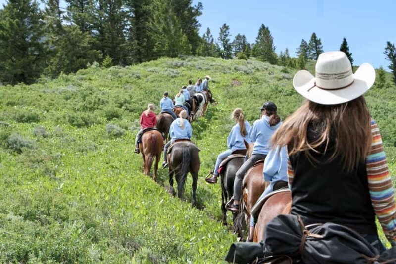 Jackson Hole: Teton View Guided Horseback Ride with Lunch - Scenic Trail Through Bridger-Teton National Forest