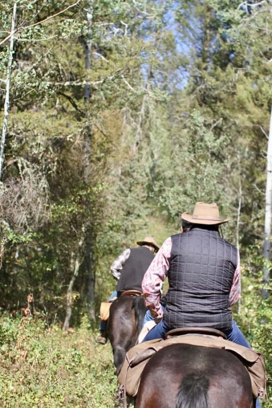 Jackson Hole: Teton View Guided Horseback Ride with Lunch - Loop Trail Along Bryan’s Flat Logging Road