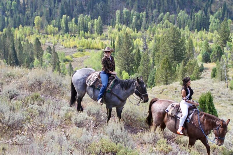 Jackson Hole: Teton View Guided Horseback Ride with Lunch - Practicalities: Duration, Group Size, and Physical Requirements