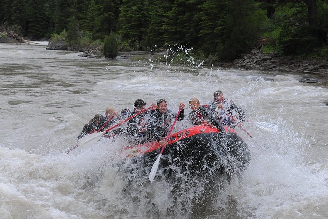 Jackson Hole Whitewater Rafting Classic from Jackson Hole,Wyoming - Booking, Cancellations, and Group Sizes