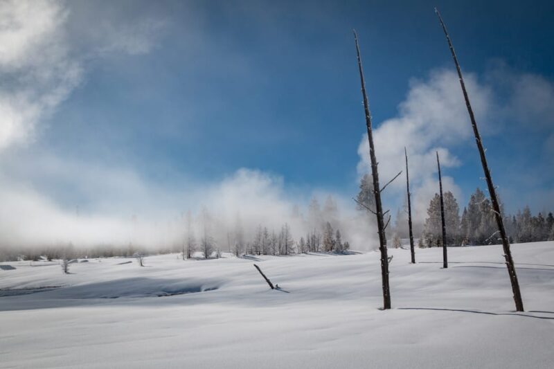 Jackson: Yellowstone Snowcoach Tour to Old Faithful - Watching Old Faithful Erupt in Winter