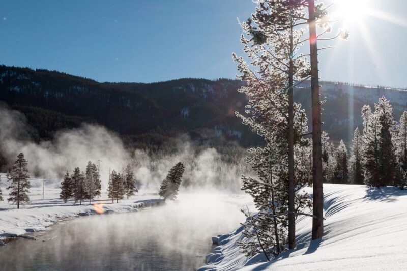Jackson: Yellowstone Snowmobile Tour to Old Faithful - Wildlife Watching and Scenic Photo Stops