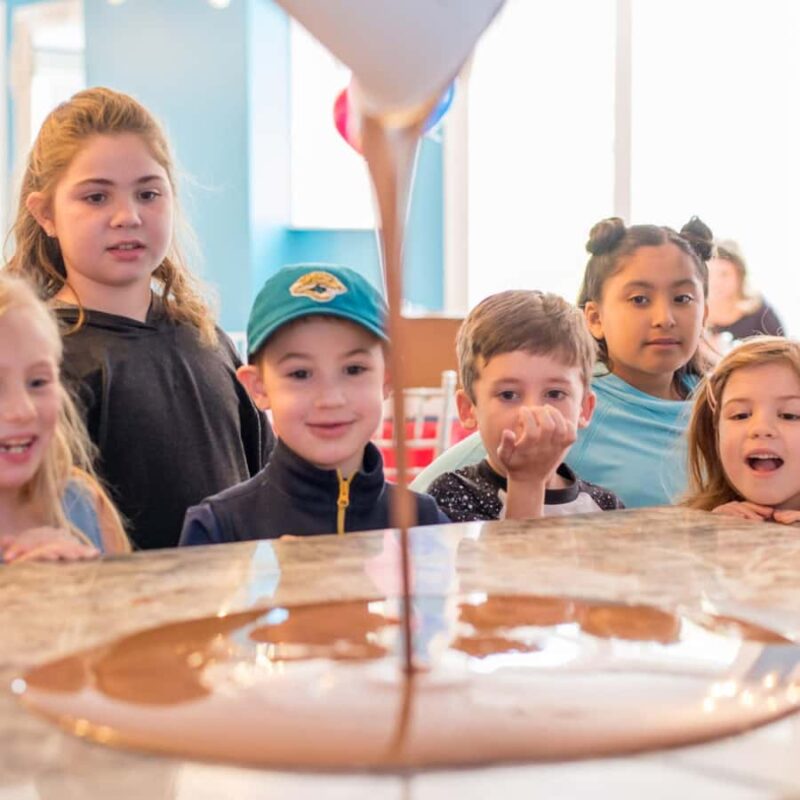 Jacksonville: Chocolate Bar Making Class at Sweet Pete's - The Art of Tempering Chocolate Demonstrated Live