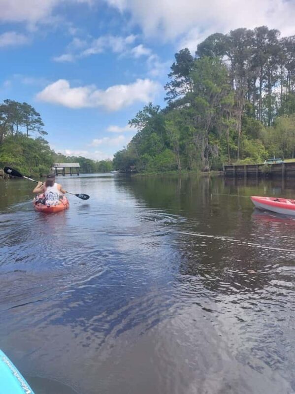 Jacksonville FL: Ortega River Paddle Board Excursion - Discover Jacksonville’s Lush Marshes and Vibrant Ecosystems