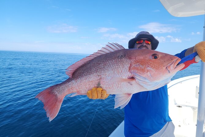 Jacksonville Private Boat Tour Daytime or Sunset, up to 6 people - Activities and Optional Stops