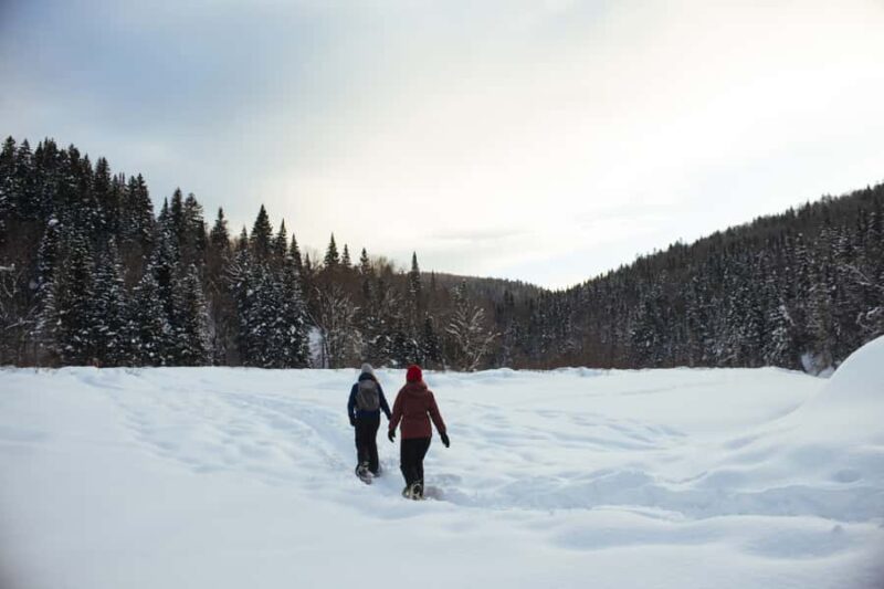 Jacques-Cartier: National Park Entry Ticket & Snowshoeing - Key Points