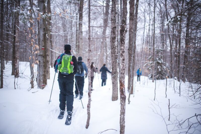Jacques-Cartier National Park: Skiing Excursion - The Guided Trail Experience in Jacques-Cartier Park