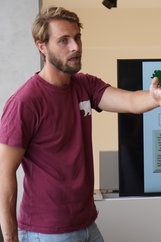 Jaén: Aires de Jaén Olive Oil Tasting Class - Learning the Art of Olive Oil Tasting and Pairings