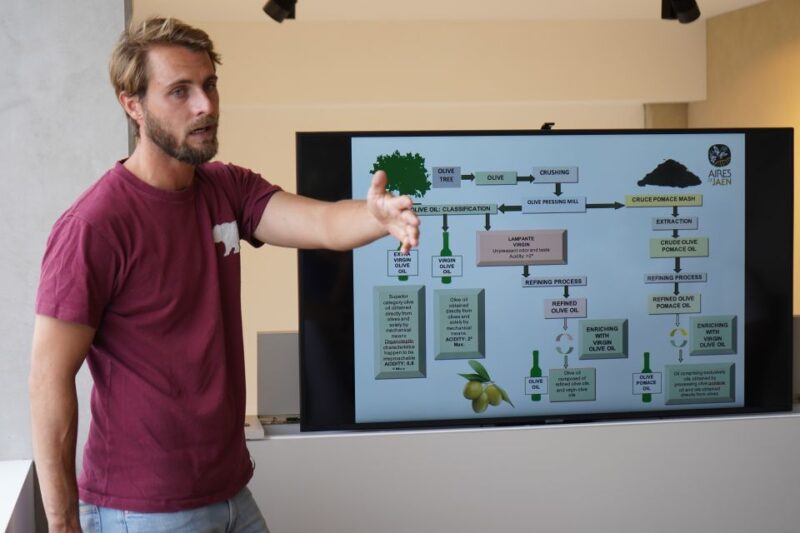 Jaén: Aires de Jaén Olive Oil Tasting Class - Who Will Enjoy the Aires de Jaén Olive Oil Class