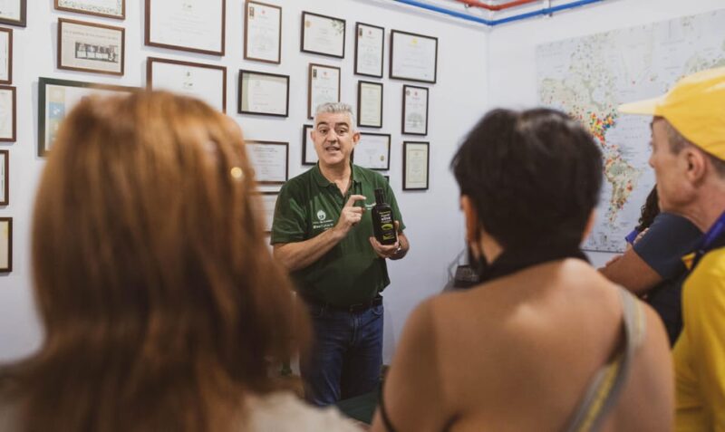 Jaén: Guided Olive Grove Tour - The Olive Mill in Begijar: Accessibility and Location