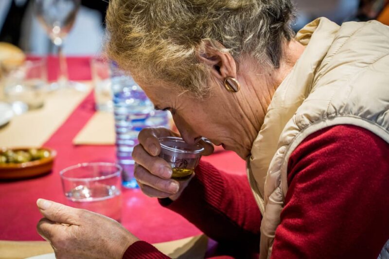 Jaén: Guided Olive Mill Tour with Olive Oil Tasting - Key Points