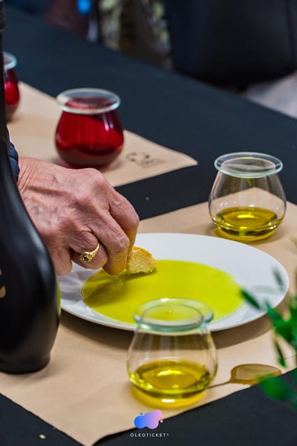 Jaén: Guided Olive Mill Tour with Olive Oil Tasting - Oleicola San Francisco: A Family-Run Olive Oil Producer