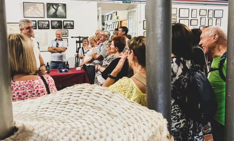 Jaén: Guided Olive Mill Tour with Olive Oil Tasting - Seeing the Old and New Olive Oil Extraction Methods