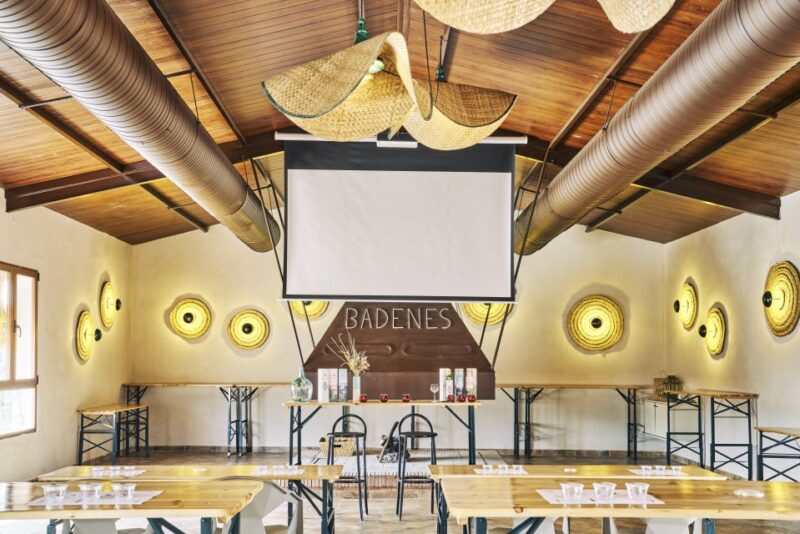 Jaen: Olive oil tour with the 5 senses, grove and tasing - Explore the Olive Groves and Meet the Growth of Olives in Jabalquinto