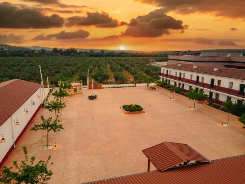 Jaen: Olive oil tour with the 5 senses, grove and tasing - From Olive Harvest to Oil: Inside the Oil Mill