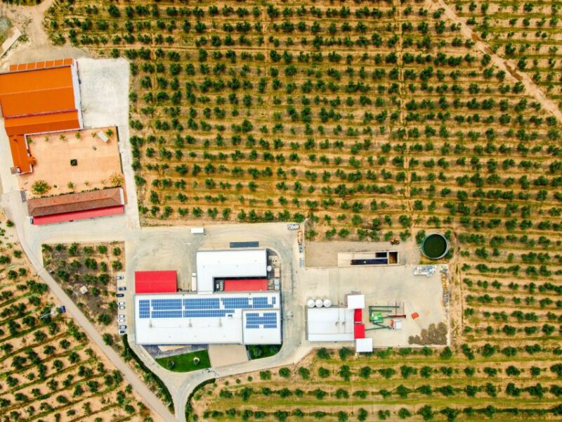 Jaen: Olive oil tour with the 5 senses, grove and tasing - Value and Accessibility of the Olive Oil Tour