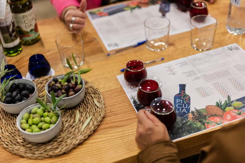 Jaén: Unforgettable visit to the olive mill + EVOO tasting - Final Thoughts on the Olive Oil Tour at Picualia