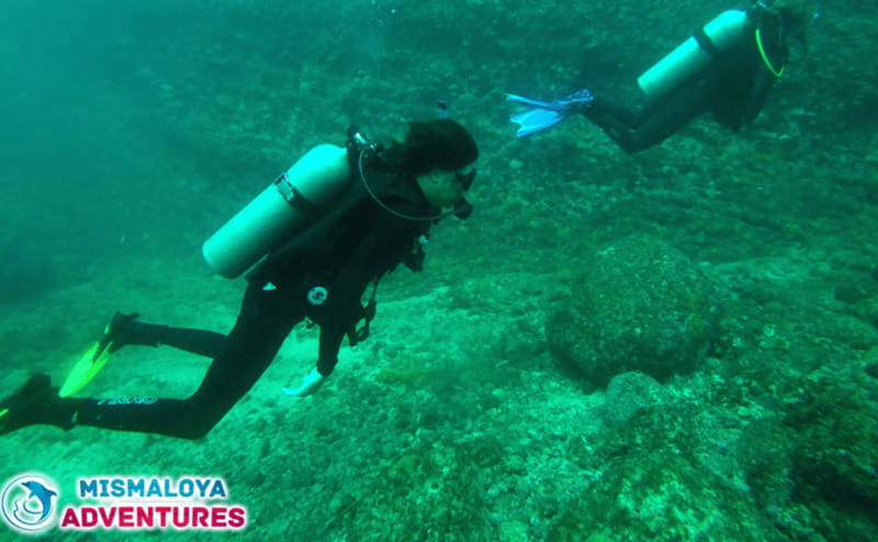 Jalisco: Scuba Diving at Los Arcos for Certified Divers - Exploring Los Arcos: Underwater Wonders and Marine Life
