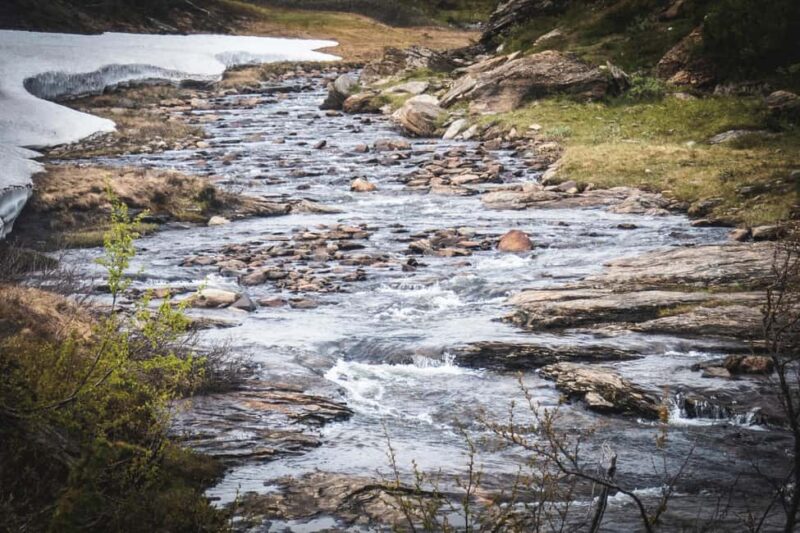 Jämtland: 4-Day Midsummer Hiking Tour with Guide - Practicalities: Meeting, Cancellation, and Group Details