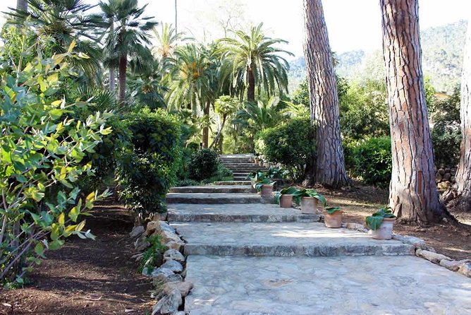 Jardines de Alfabia Tickets - The Sum Up: A Self-Guided Garden Experience Worth Visiting