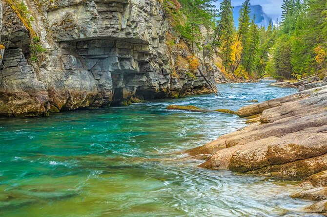 Jasper and Columbia Skywalk Icefield Parkway Private Day Tour - Insights from the Guide and Guest Feedback