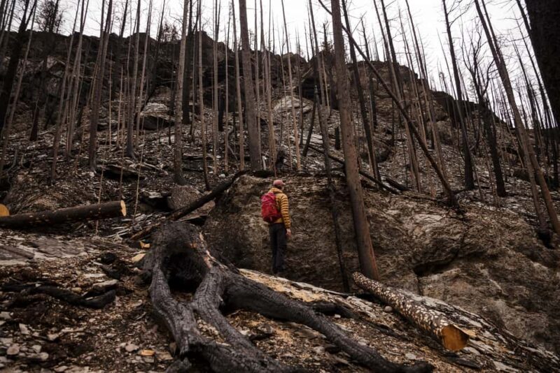 Jasper: Guided Wildfire Hike with Lunch - Reaching the Peak for a 360-Degree View