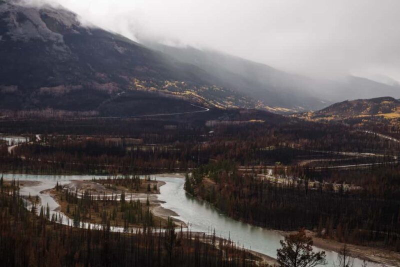 Jasper: Guided Wildfire Hike with Lunch - Learning About Wildfires and Their Benefits