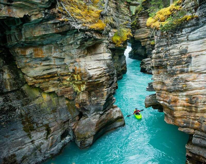 Jasper: Maligne Valley Wildlife & Spirit Island Cruise - The Role of Expert Guides in Enhancing the Experience