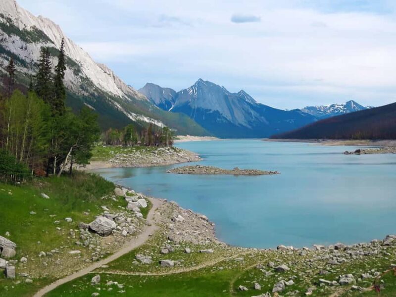 Jasper: Wildlife and Sightseeing Tour with Lakeshore Hike - Logistics: Comfort, Timing, and Pick-up Details