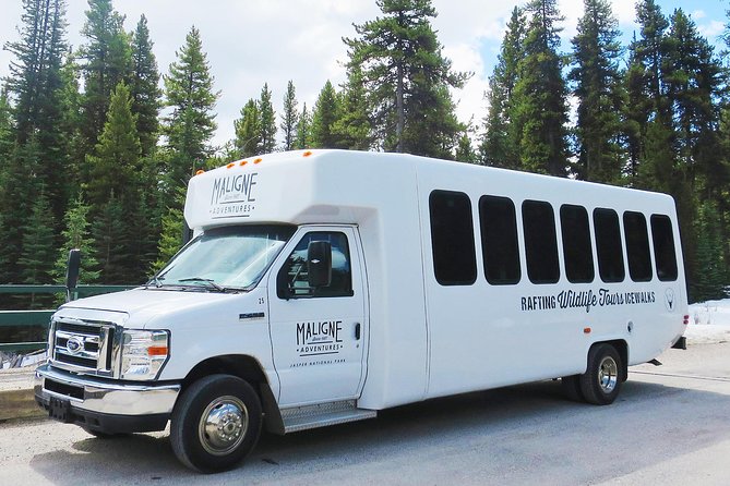 Jasper Wildlife and Waterfalls Tour with Maligne Lake Hike - The Lakeside Hike at Maligne Lake