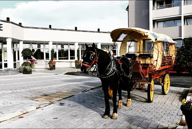 Jaunting Car Tour in Killarney National Park - Key Points