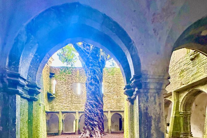 Jaunting Car Tour in Killarney National Park - Starting Point and Convenient Location in Killarney