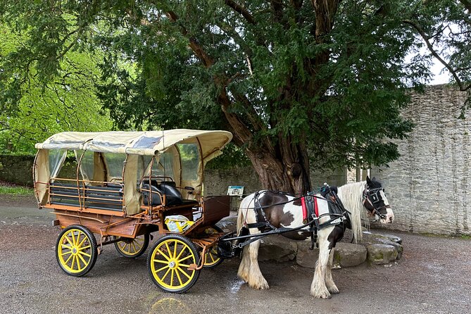 Jaunting Car Tour in Killarney National Park - Scenic Drive Through Killarney National Park