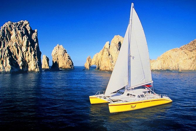 Jazz and Wine Sunset - Food, Drinks, and Entertainment on Board