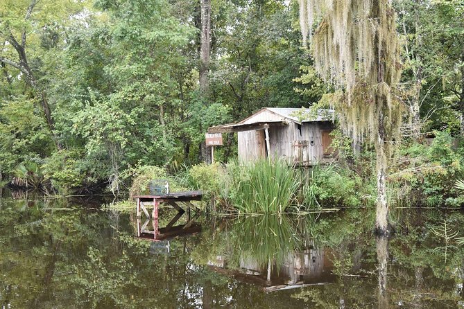 Jean Lafitte 90-Minute Swamp and Bayou Boat Tour - Wildlife Encounters: Alligators, Birds, and More