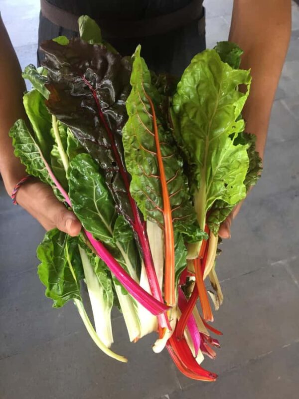 Jean Talon Market Walking Tour x Michelin-Trained Chef - Explore Montreal’s Jean Talon Market with a Michelin-Trained Chef