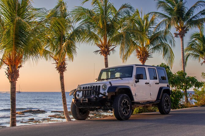 Jeep, Buggy, and Minivan Rentals in Cozumel - Explore Cozumel at Your Own Pace with Vehicle Rentals and Exclusive Access