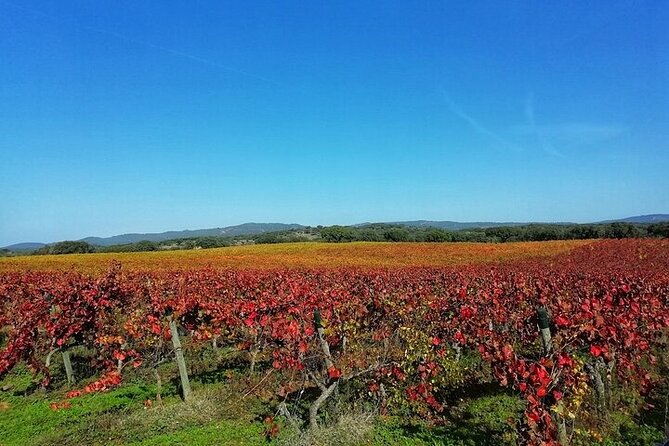 Jeep Cork Tour Experience Pack - Key Points