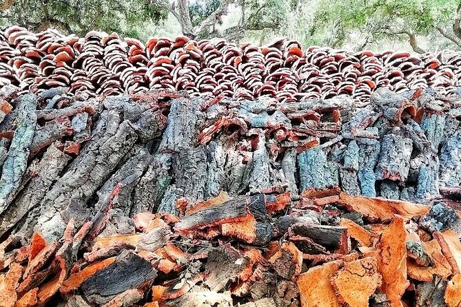 Jeep Cork Tour Experience Pack - Visiting Serra d’Ossas Megalithic Monuments