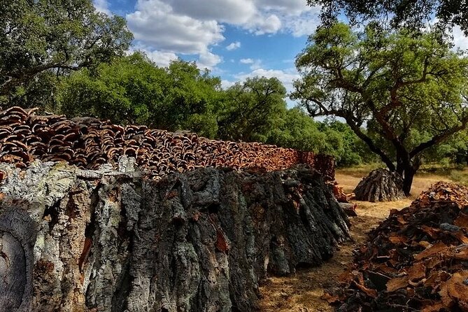 Jeep Cork Tour Experience Pack - Cancellation Policy and Planning Flexibility