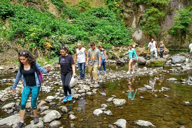 Jeep Off-road Excursion w/ lunch Coast to Coast (Shared) - The Guide and Group Experience