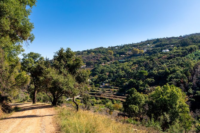 Jeep Safari #1 in Algarve - Exploring the Algarves Hidden Corners in a 4x4