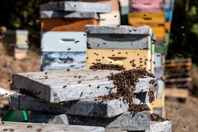 Jeep Safari #1 in Algarve - Group Size, Pacing, and Additional Features