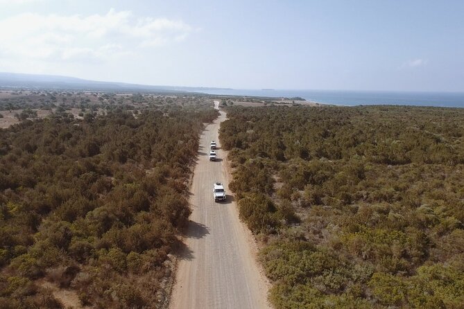 Jeep Safari Akamas from Paphos - Key Points